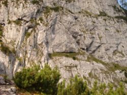 Regina-F-Rau_2013-08-15_Frohkostgipfel  (023).JPG